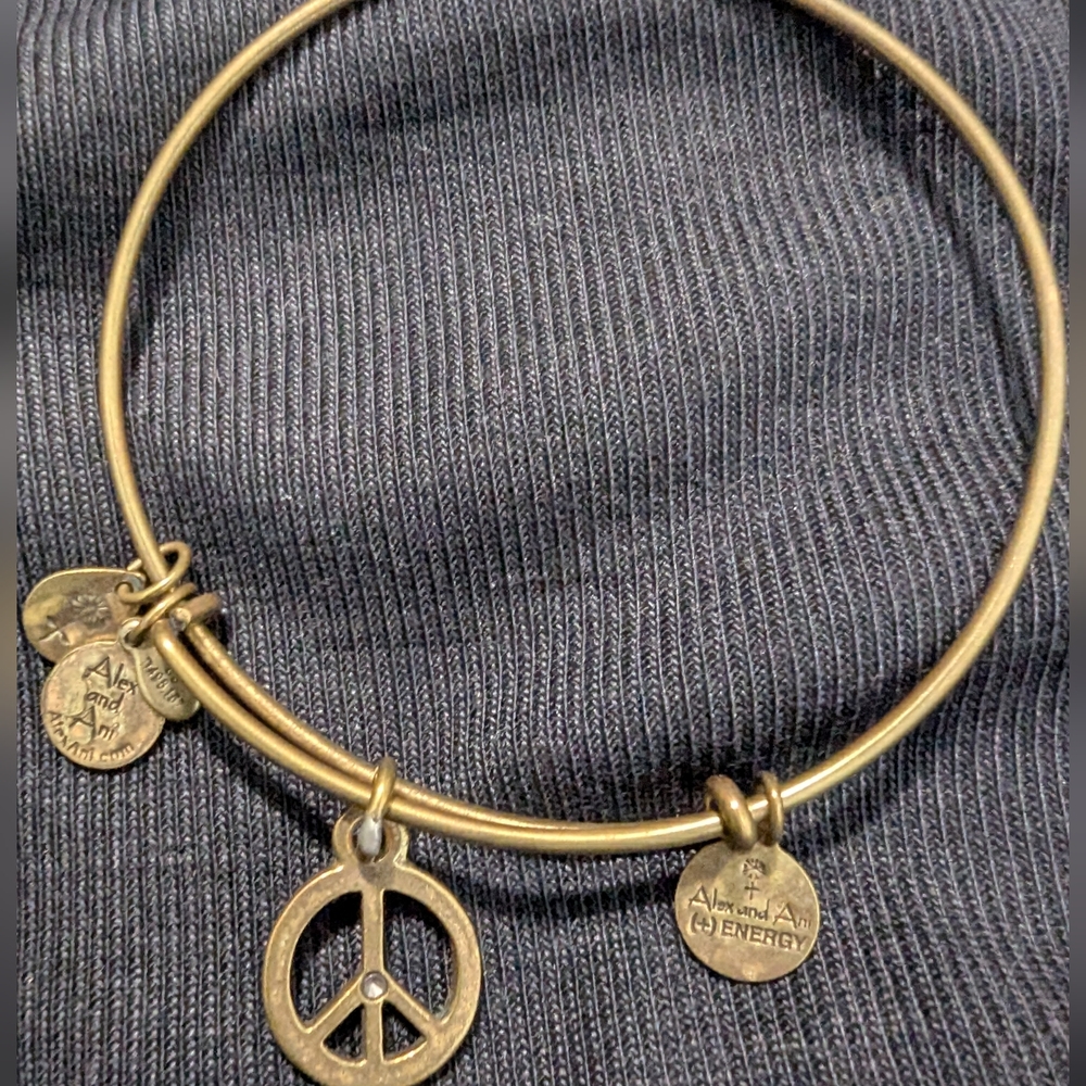 Alex and Ani Gold Charm Bangle Bracelet